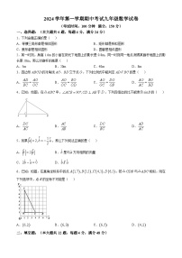 上海市闵行区航华中学2024—-2025学年九年级上学期数学期中考试试卷(无答案)