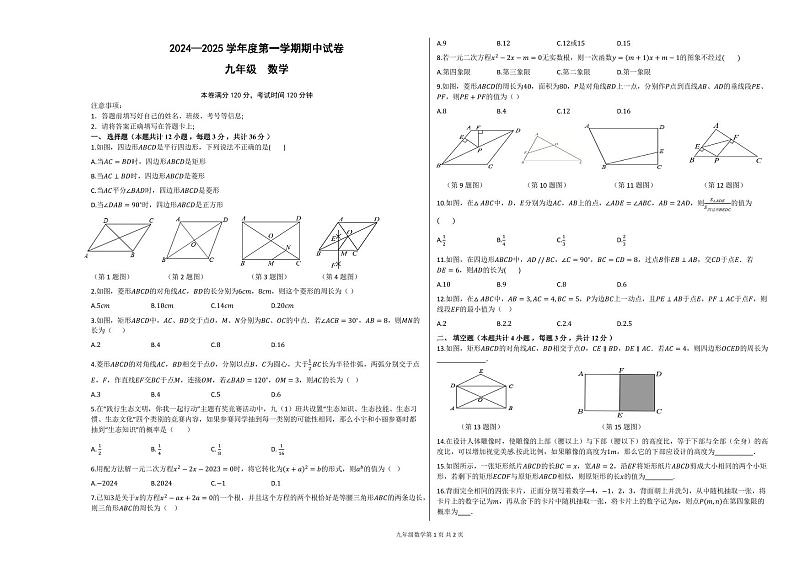 甘肃省兰州市第八十一中学2024-2025学年九年级上学期期中考试数学试卷01