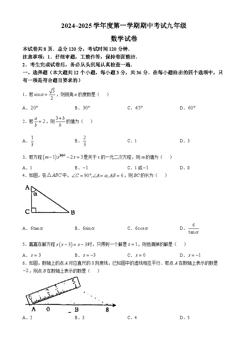 河北省唐山市滦州市2024-2025学年九年级上学期11月期中考试数学试题(无答案)01