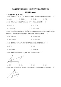 河北省邯郸市鸡泽县2024-2025学年九年级上学期期中考试数学试题 （冀教版）