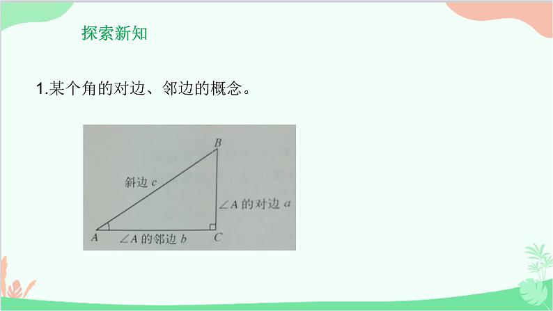 24.3.1 锐角三角函数 华师大版数学九年级上册课件第3页