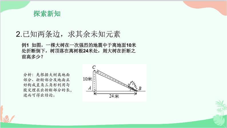 24.4.1 解直角三角形 华师大版数学九年级上册课件第4页