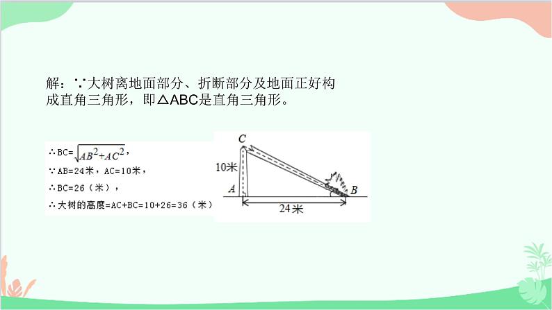 24.4.1 解直角三角形 华师大版数学九年级上册课件第5页