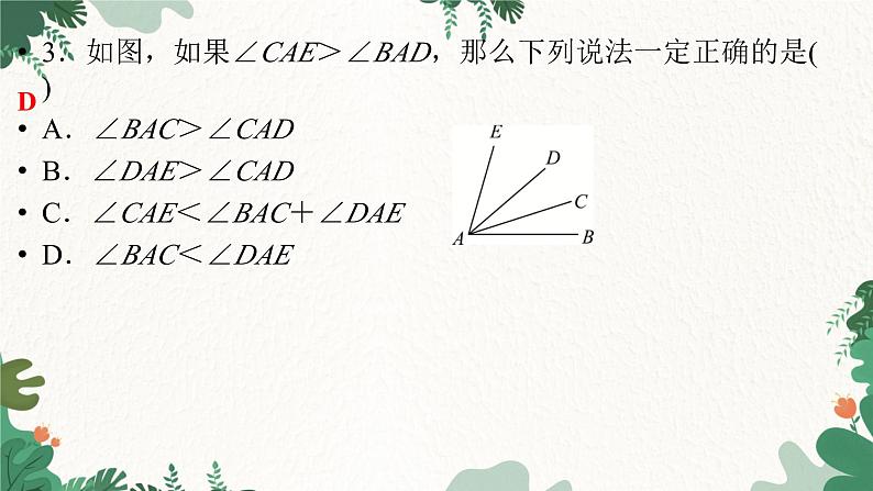 北师大版数学七年级上册 第4章 第39课时 角的比较习题课件第4页