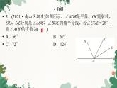 北师大版数学七年级上册 第4章 第41课时 《基本平面图形》回顾与思考习题课件