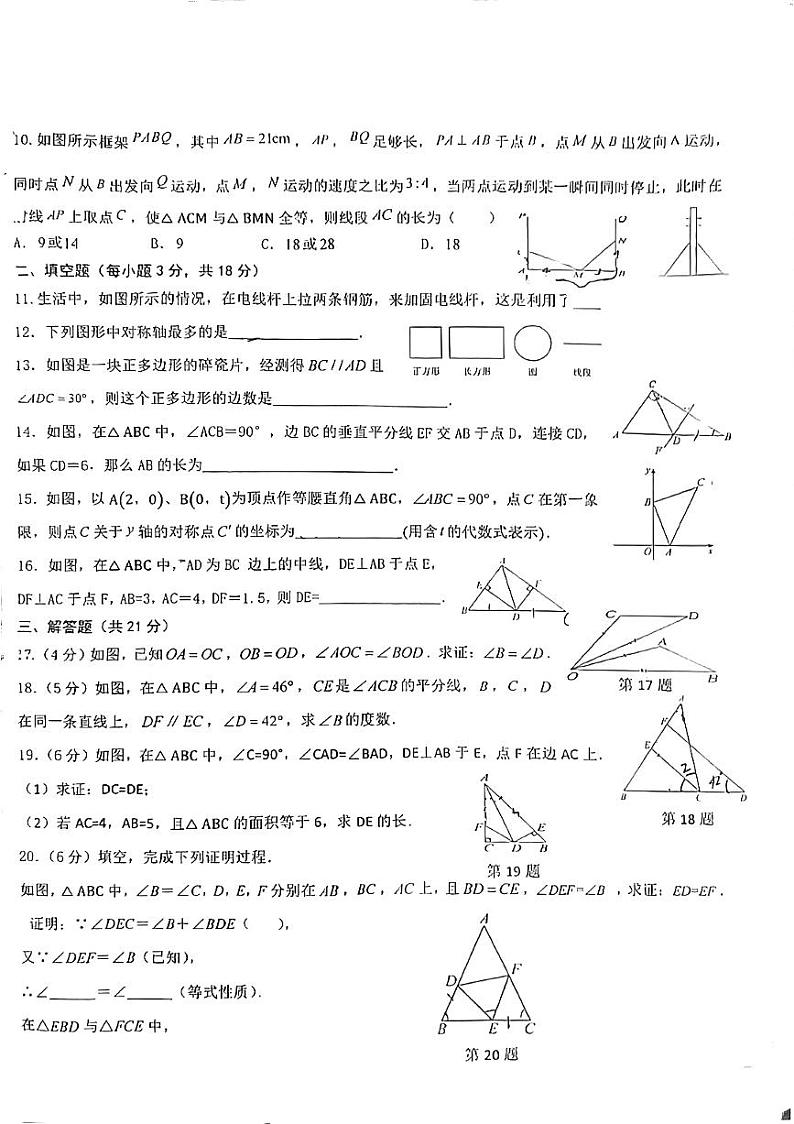 甘肃省 嘉峪关市第六中学2024-2025学年八年级上学期11月期中数学试题第2页