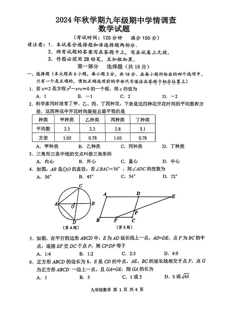 江苏省泰州市姜堰区2024-2025学年九年级上学期期中数学试题第1页