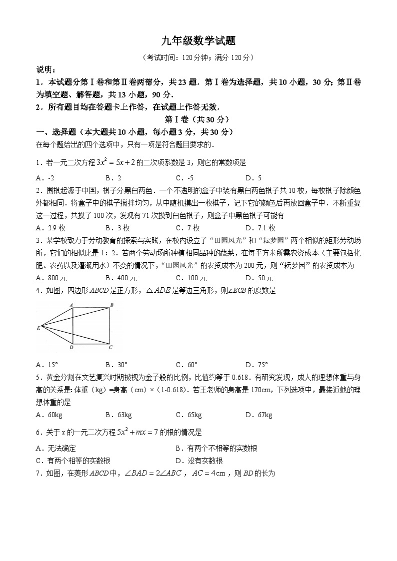 山东省青岛市2024-2025学年九年级上学期11月期中考试数学试题(无答案)01
