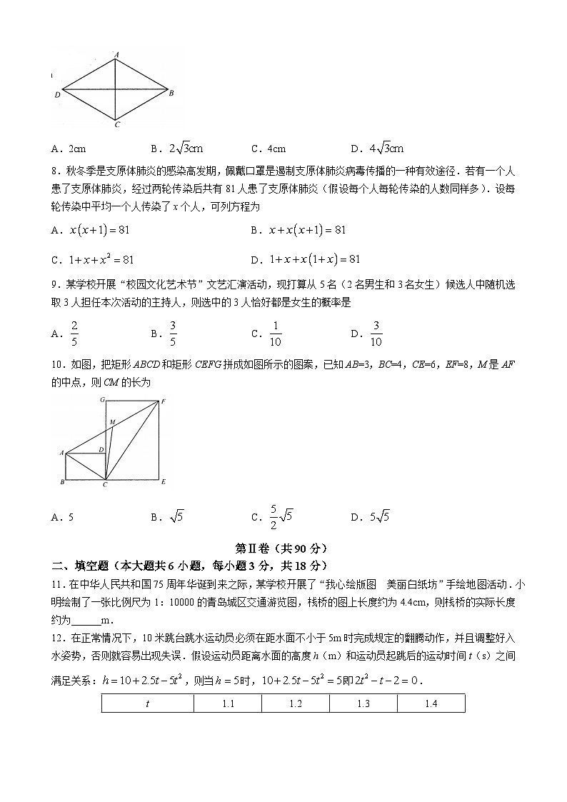 山东省青岛市2024-2025学年九年级上学期11月期中考试数学试题(无答案)02
