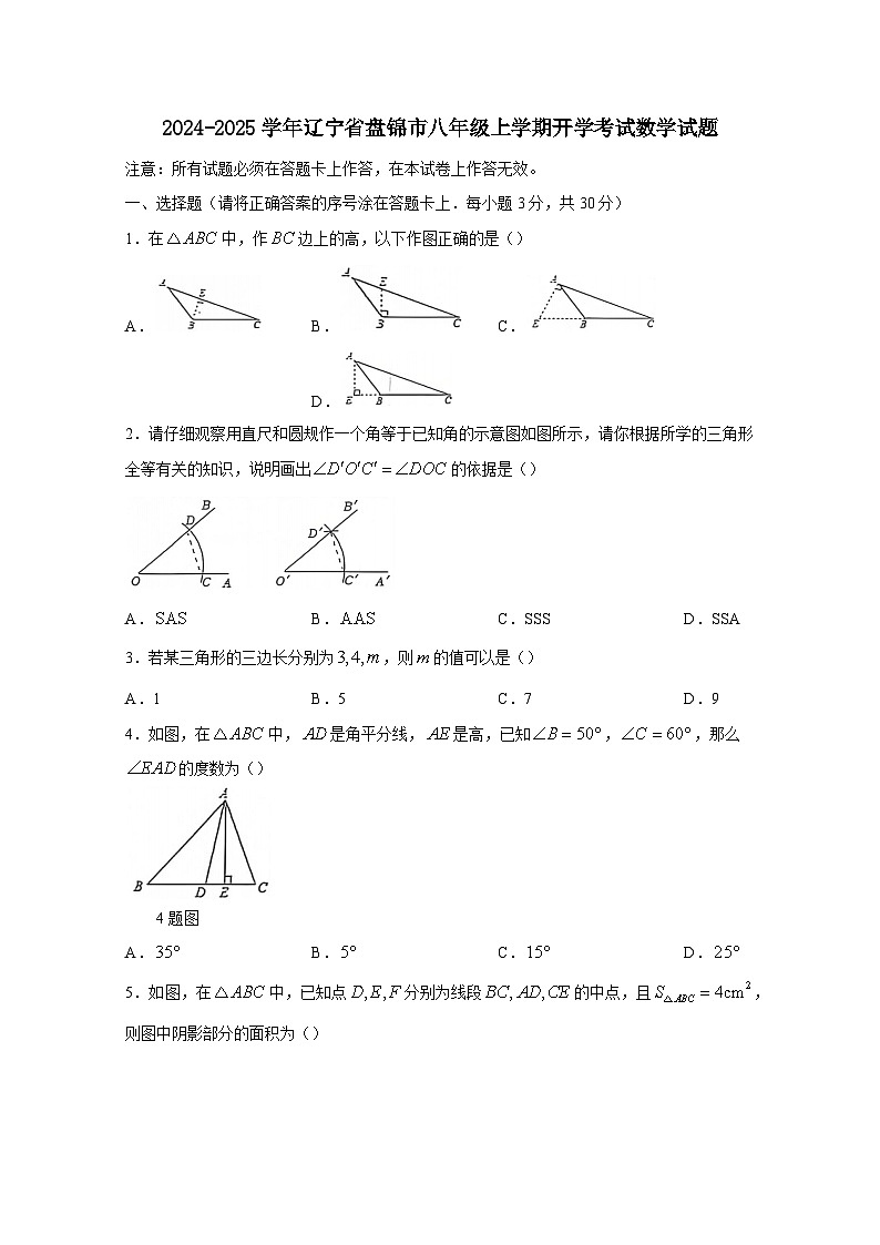 2024-2025学年辽宁省盘锦市八年级上册开学考试数学试题（附答案）01