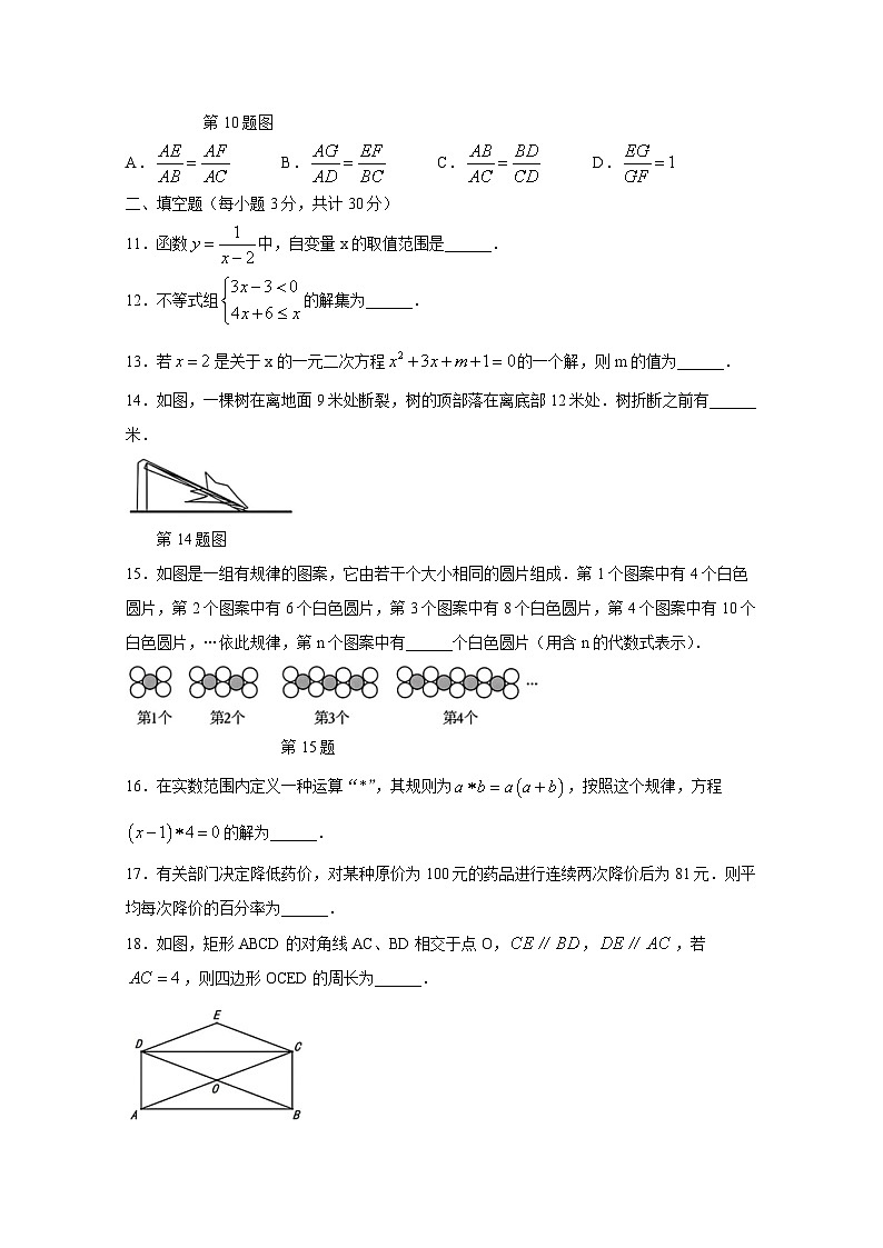 黑龙江省哈尔滨市2024-2025学年九年级上册开学测试数学试题（附答案）03