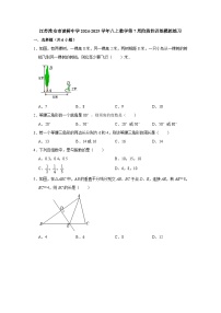 江苏淮安市凌桥中学2024-2025学年八上数学第7周阶段性训练模拟练习【含答案】