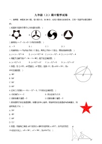 广东省中山市卓凯教育2024-2025学年九年级上学期期中考试数学试卷