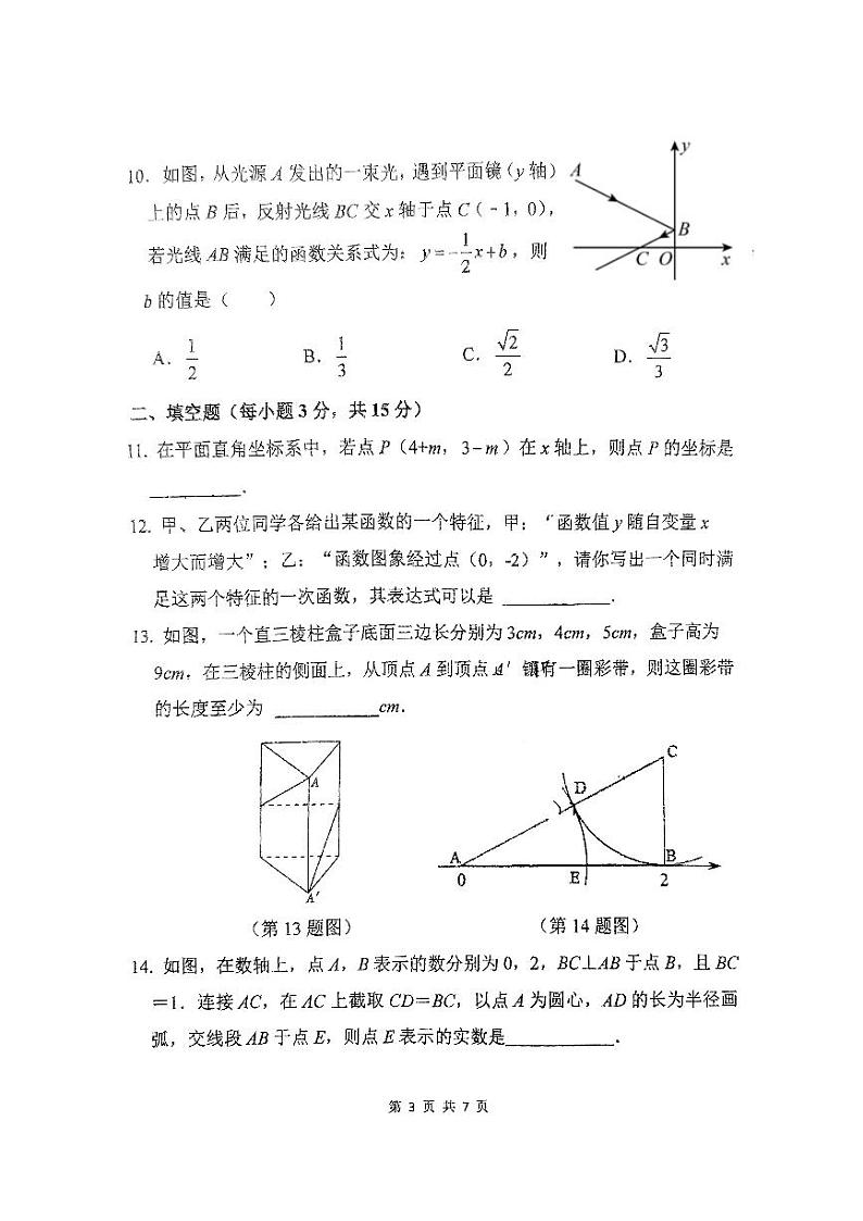 河南省郑州市实验外国语中学2024-2025学年八年级上学期期中考试数学试题第3页