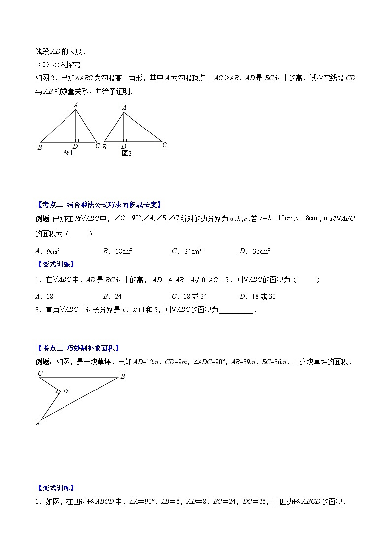 北师大版数学八年级上册同步讲义第1章第04讲 解题技巧专题：勾股定理与面积问题、方程思想（原卷版）第3页