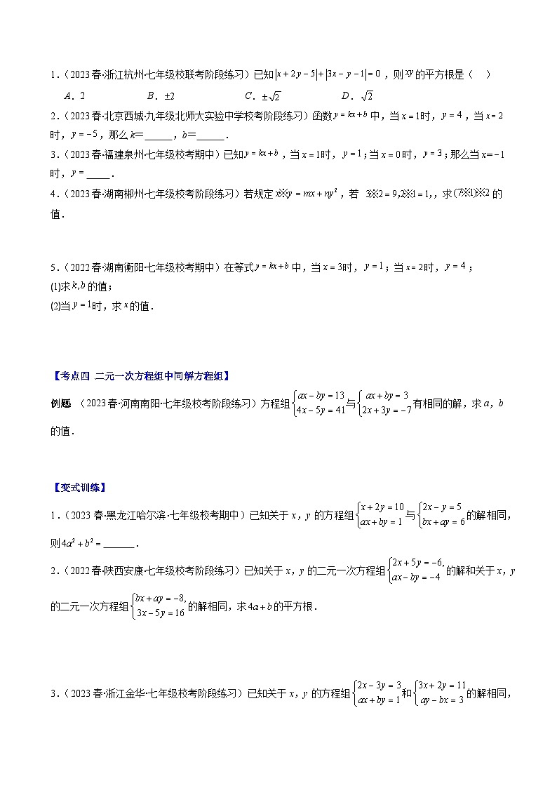 北师大版数学八年级上册同步讲义第5章第02讲 二元一次方程组中易错及含参数问题(6类热点题型讲练)（原卷版）第3页