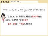2024秋北师大版数学七年级上册3.1 代数式课时2课件