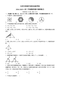 北京市海淀外国语实验学校2024-2025学年八年级上学期期中数学调研试卷