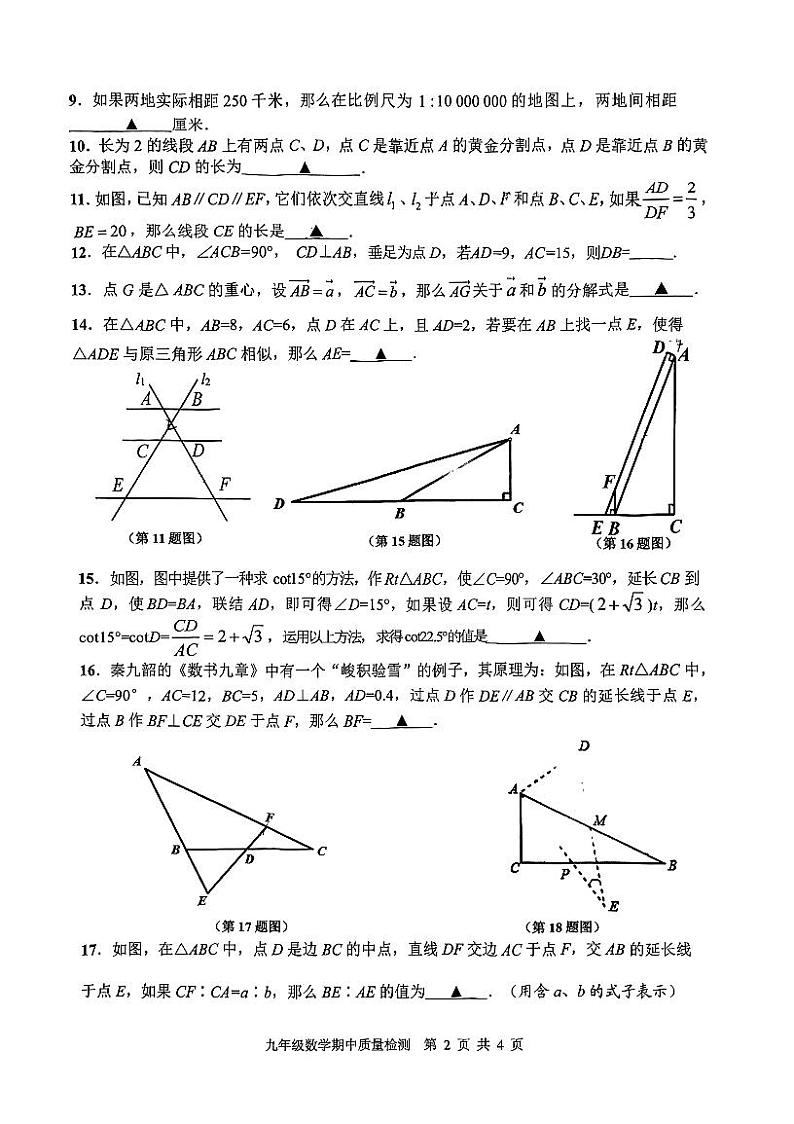 上海市浦东新区多校联考2024-2025学年九年级上学期期中考试数学试卷第2页