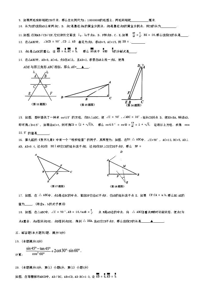 上海市浦东新区多校联考2024-2025学年九年级上学期期中考试数学试卷第2页