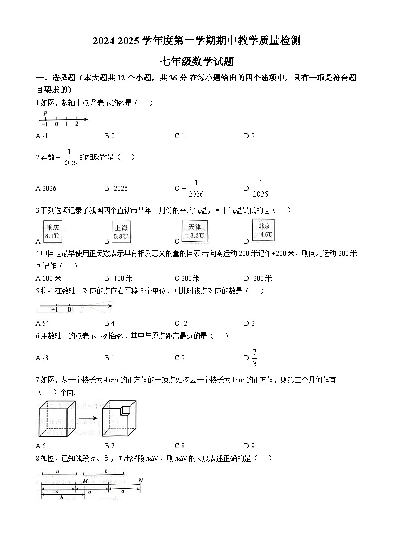 河北省石家庄市栾城区2024-2025学年七年级上学期期中考试数学试卷(无答案)第1页