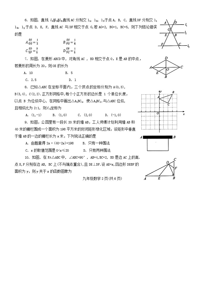河南省南阳市西峡县2024-2025学年九年级上学期11月期中数学试题02