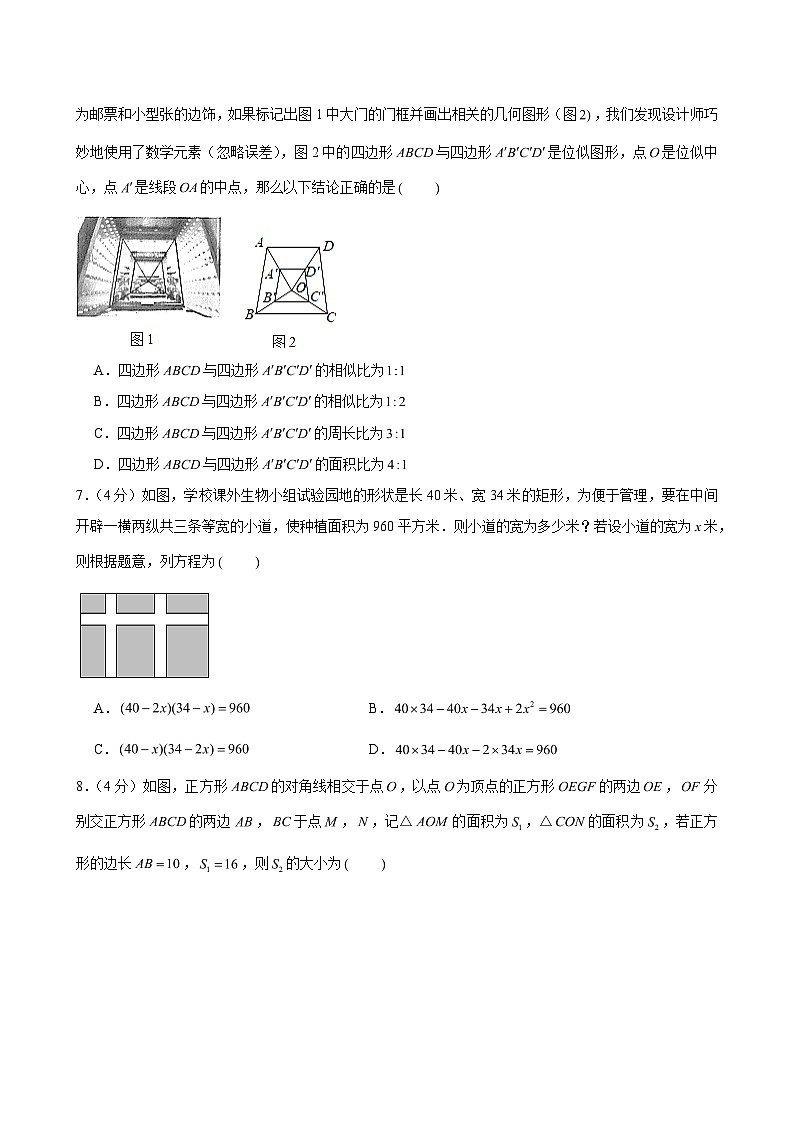 2024-2025学年四川省成都市青羊区树德实验学校西区九年级（上）期中数学试卷（含解析）第2页