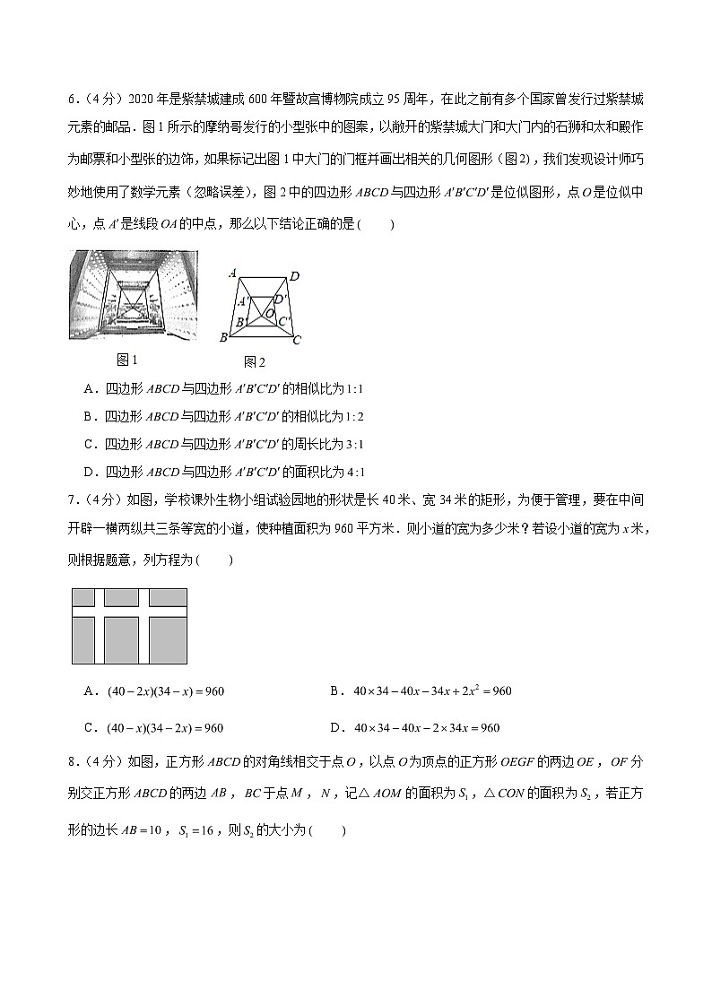 2024-2025学年四川省成都市青羊区树德中学九年级（上）期中数学试卷（含解析）第2页