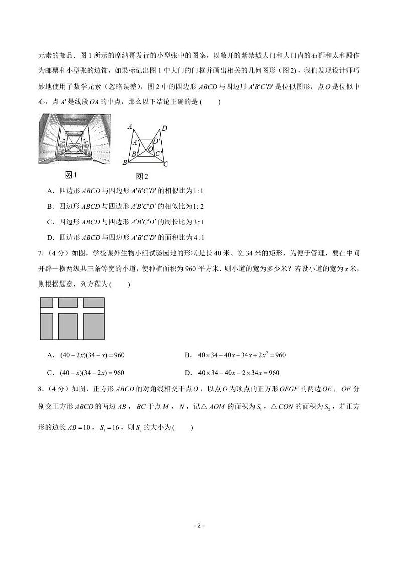 2024-2025学年四川省成都市青羊区树德中学九年级（上）期中数学试卷02