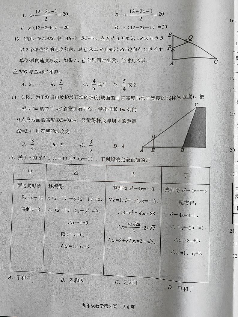 河北省唐山市乐亭县2024-2025学年九年级上学期期中考试数学试题03