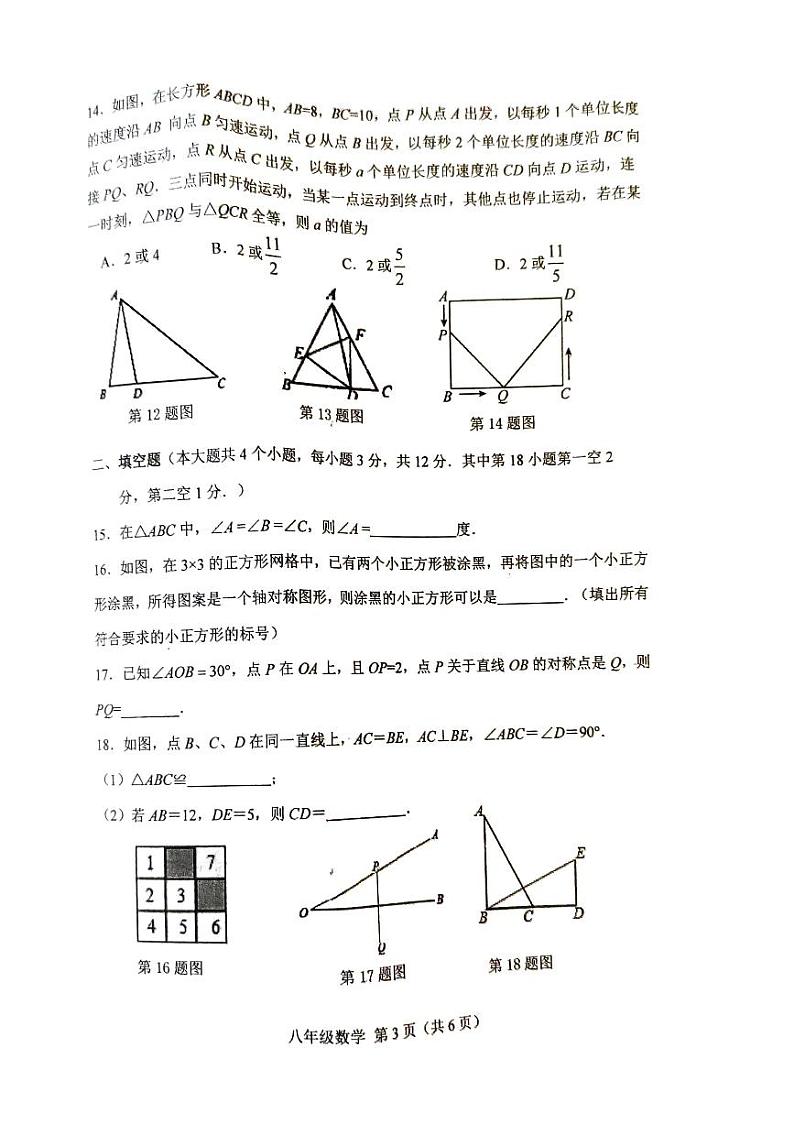河北省唐山市丰南区2024-2025八上数学期中考试题第3页