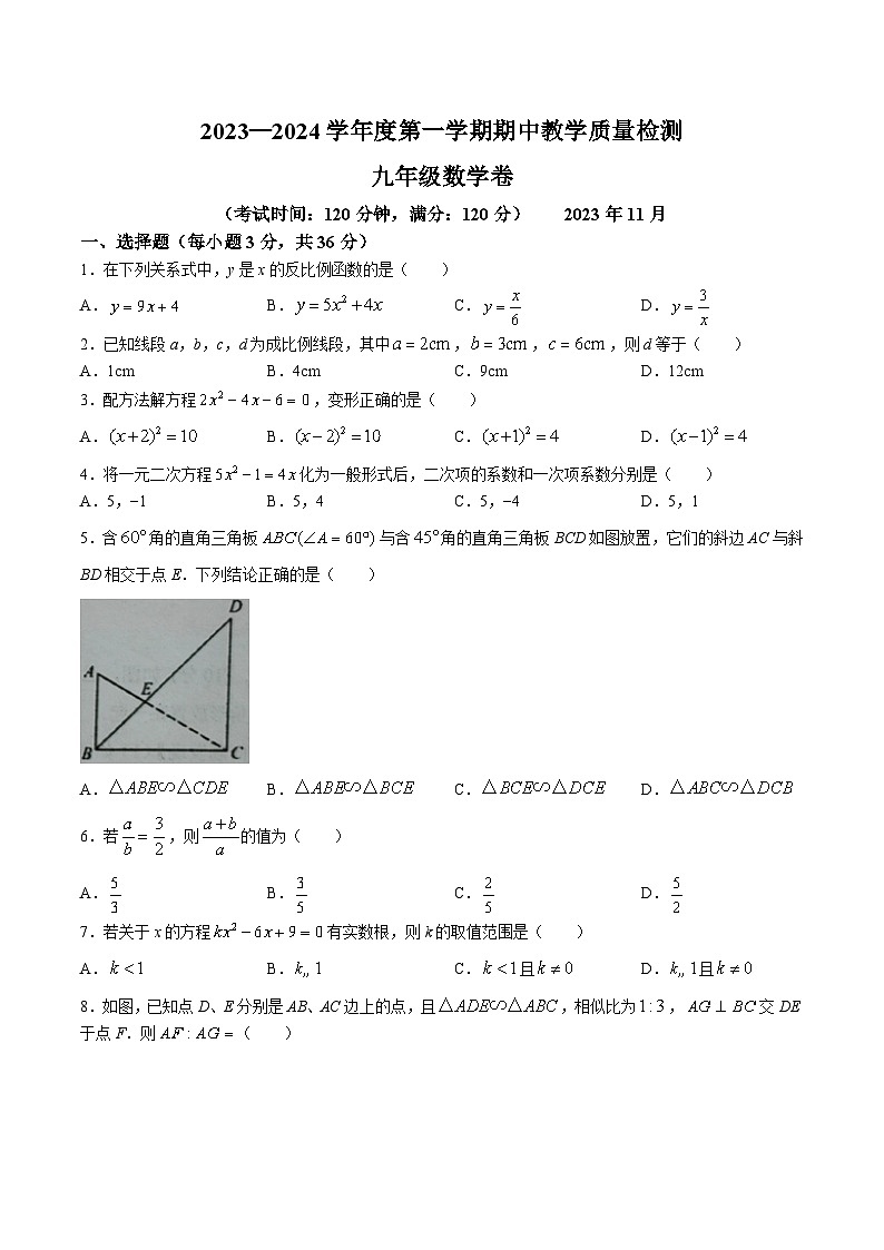 广西北海市合浦县2024届九年级上学期期中教学质量检测数学试卷(含答案)第1页