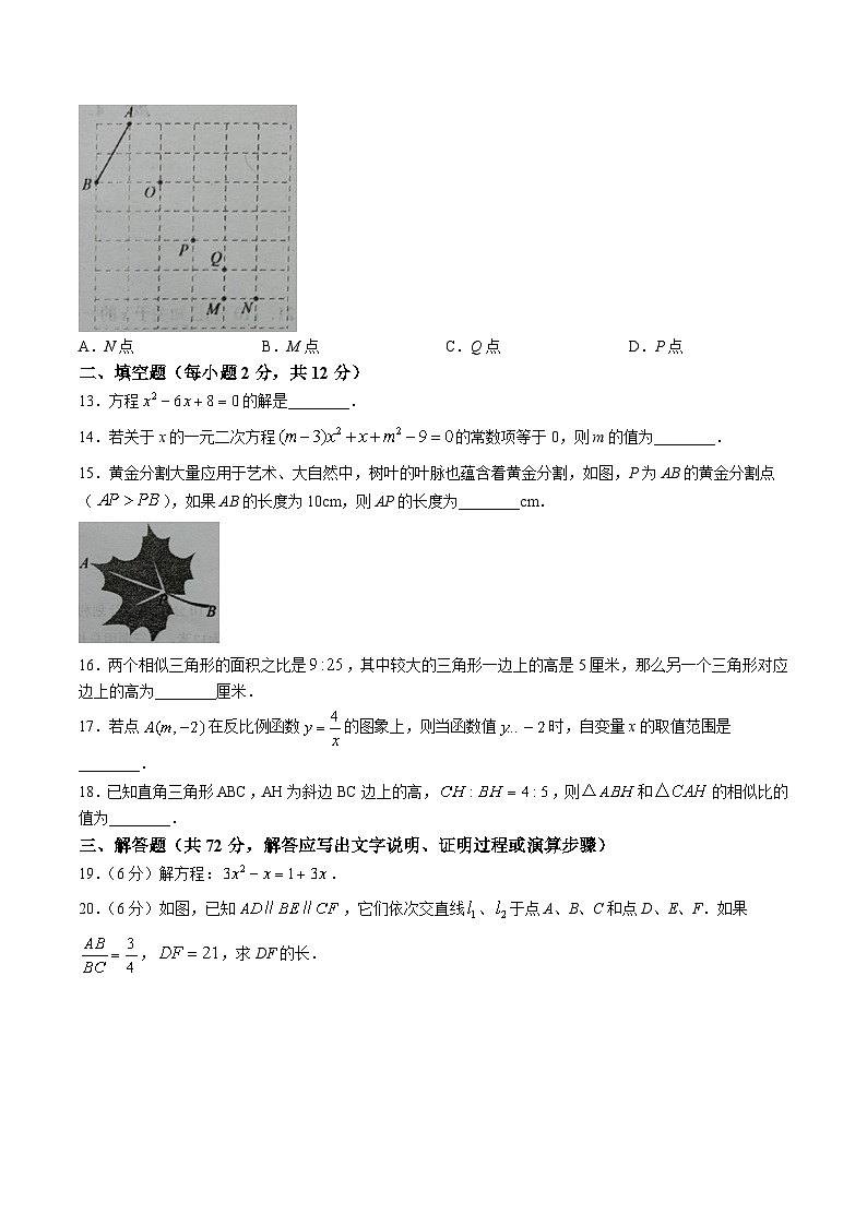 广西北海市合浦县2024届九年级上学期期中教学质量检测数学试卷(含答案)第3页