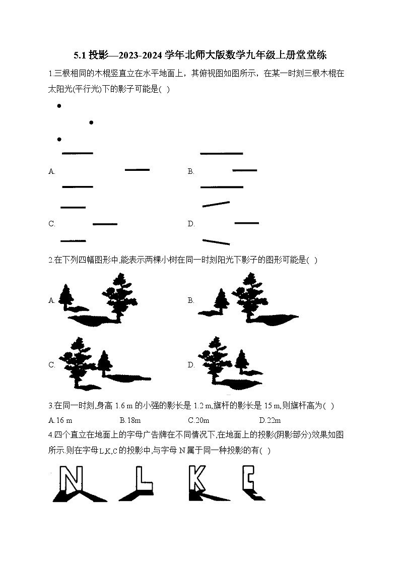 5.1 投影 北师大版数学九年级上册堂堂练及答案第1页