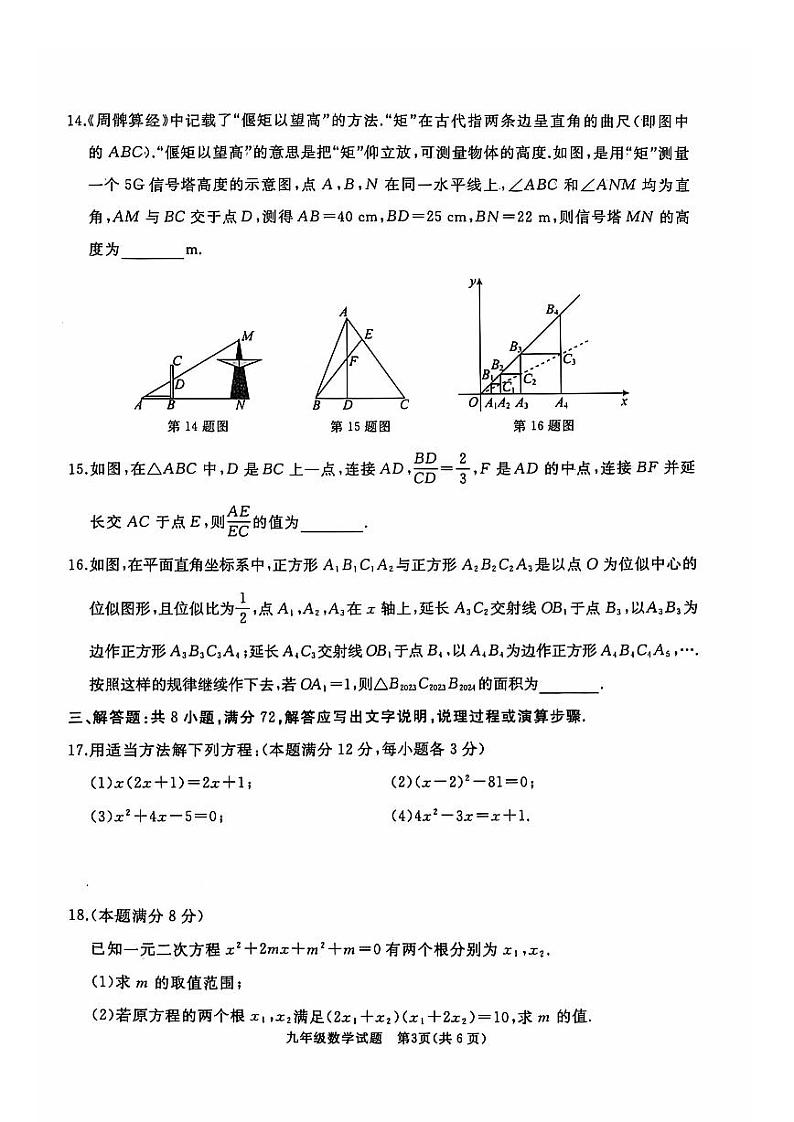 山东省枣庄市滕州市2024-2025学年九年级上学期11月期中数学试题03