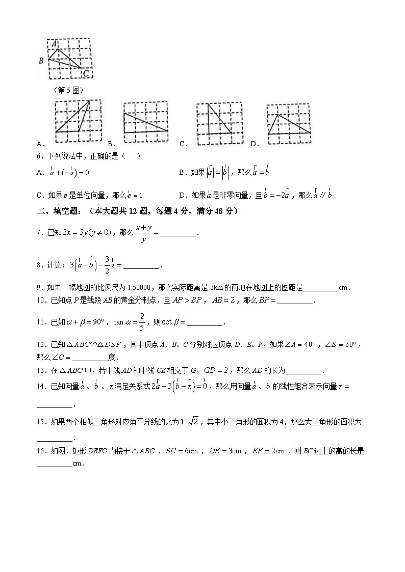 上海市崇明区2024—2025学年九年级上学期数学期中考试卷(无答案)02