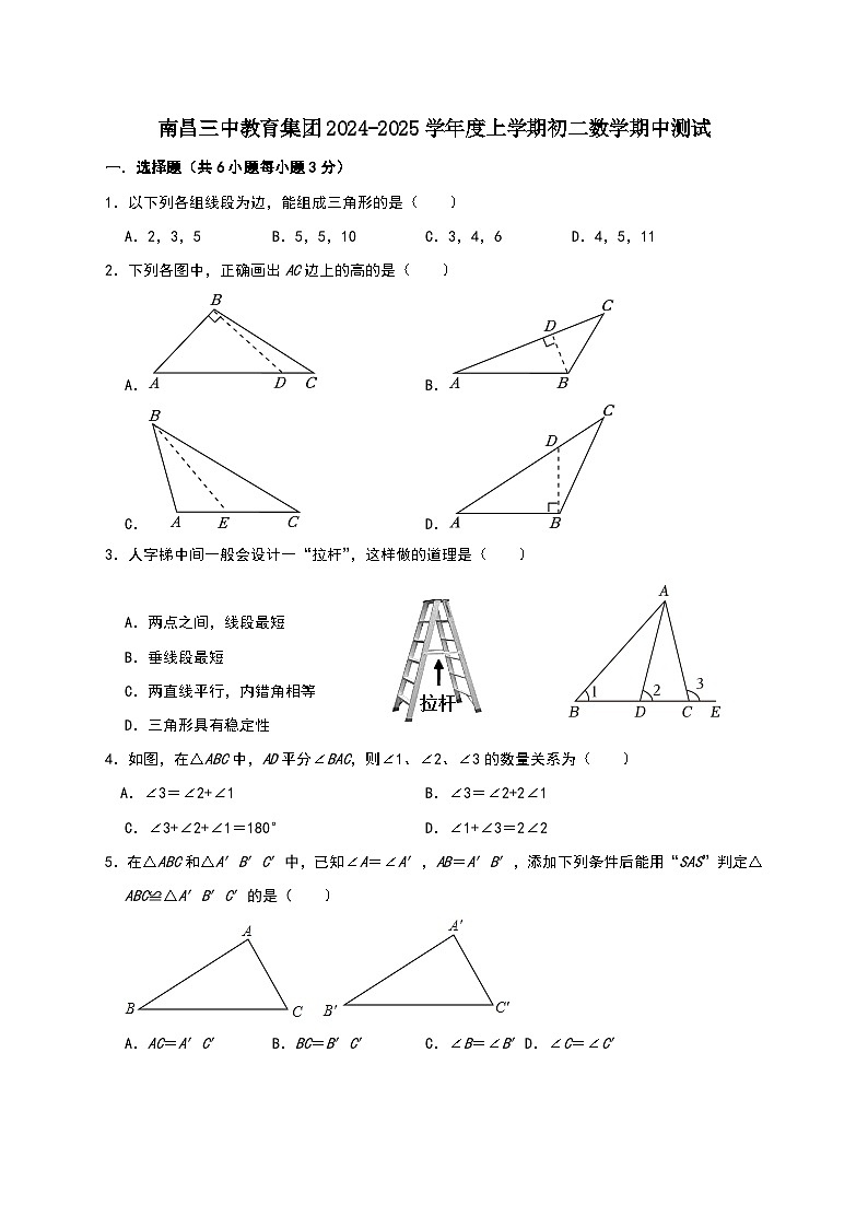 江西省南昌市第三中学2024-2025学年八年级上学期11月期中考试数学试题第1页