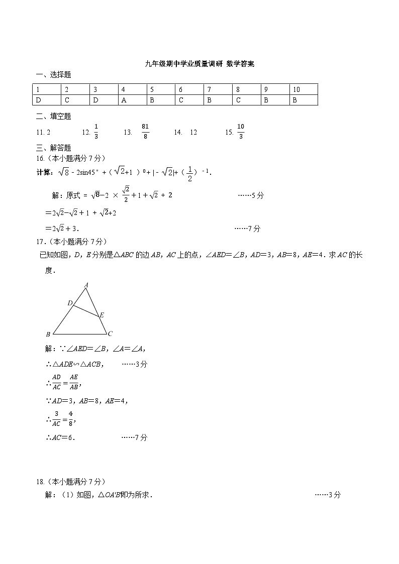2024-2025学年山东省济南市市中区九年级上学期期中数学测试试卷答案第1页