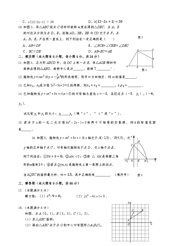 福建省厦门市翔安区2024-2025学年九年级上学期11月期中考试数学试题02