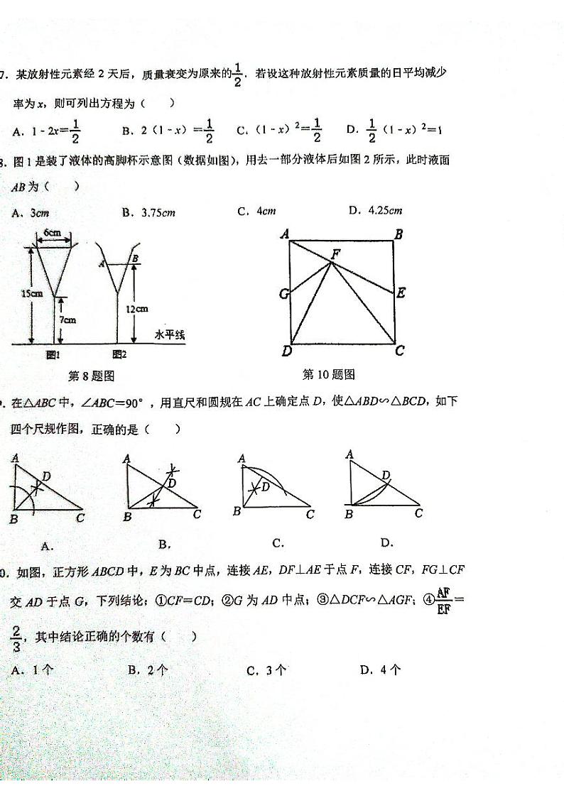 2023-2024学年广东省深圳市南山实验教育集团九年级（上）月考数学试卷（10月份）.02
