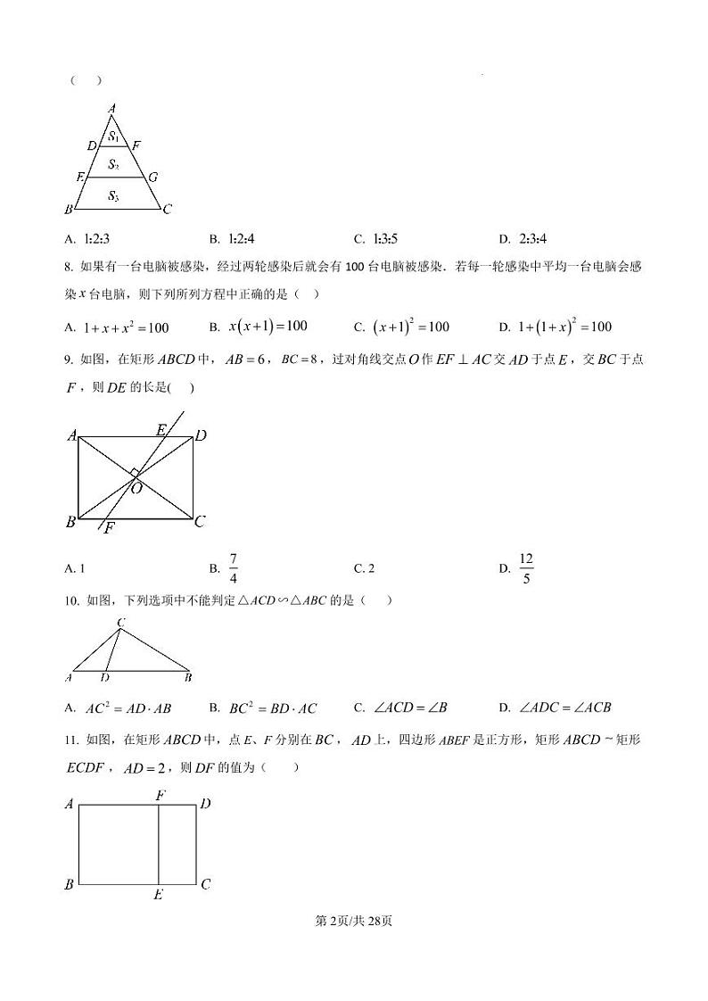 山东省滕州市滕东中学2024-2025学年九年级上学期期中数学试题第2页