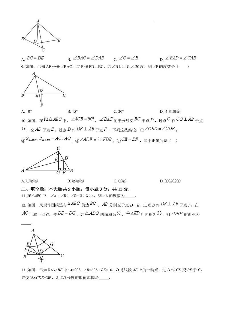 山东省枣庄市薛城区2024-2025学年八年级上学期期中数学试题第2页