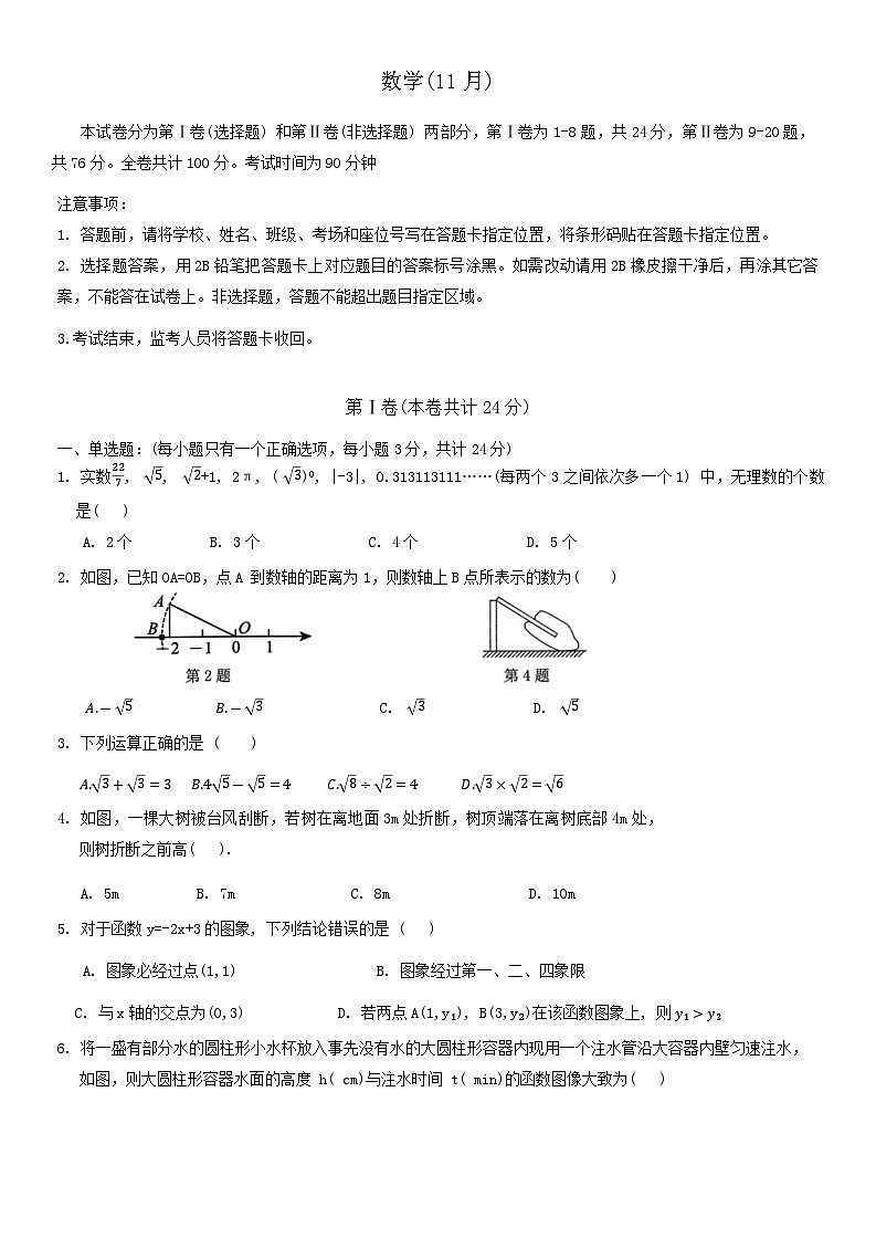 广东省深圳市罗湖区2024-2025学年八年级上学期11月期中考试数学试题01