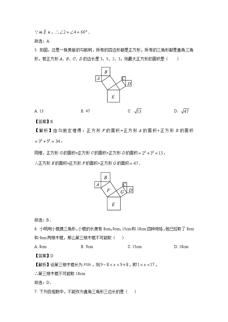 山东省泰安市泰山区2024-2025学年七年级上学期期中数学试卷（解析版）第3页
