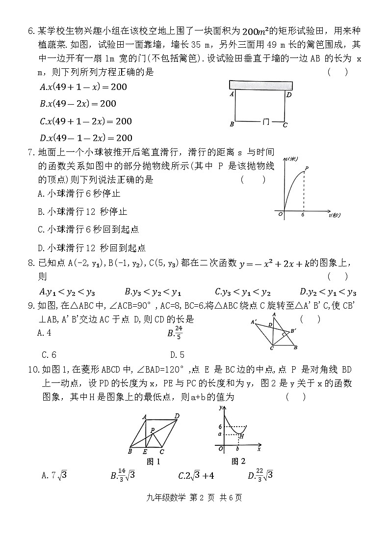 河南省洛阳市老城区2024-2025学年九年级上学期11月期中考试数学试题第2页