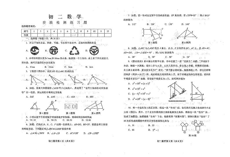 山东省烟台市芝罘区（五四制）2024-2025学年七年级上学期期中考试数学试题第1页