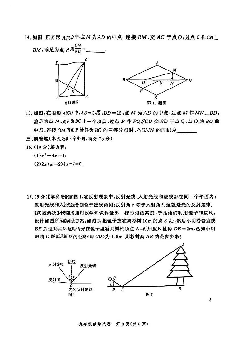 河南省郑州市第五十八中学2024-2025学年上学期九年级数学期中联考试卷03