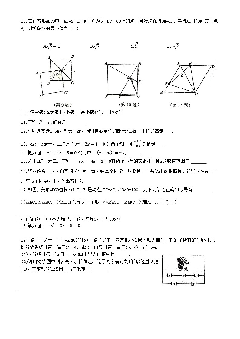 广东省梅州市兴宁市实验学校2024-2025学年九年级上学期11月期中数学试题第2页