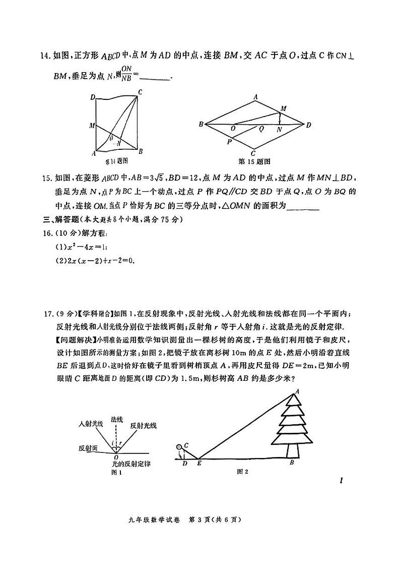 郑州高新区十校联考2024-2025学年九年级上学期期中考试数学试卷第3页