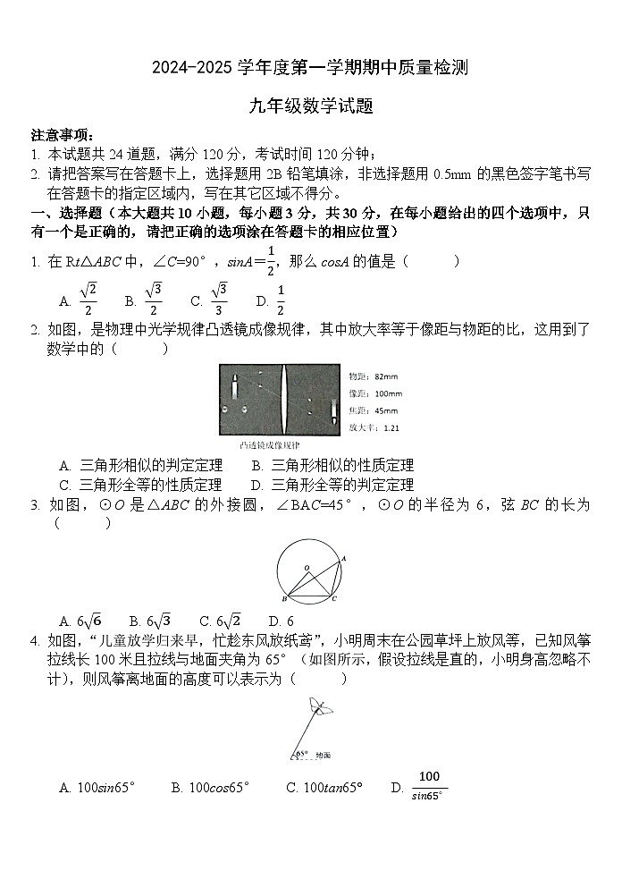 山东省菏泽市单县2024-2025学年九年级上学期11月期中数学试题01